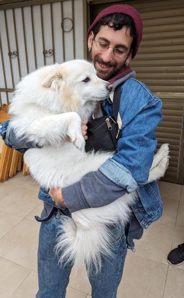 Dog Love